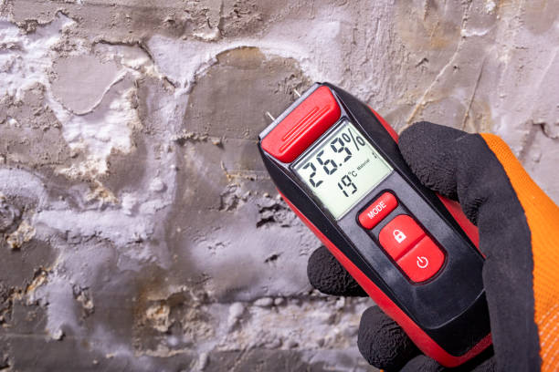 Best Kitchen Mold Remediation in Bromley, KY
